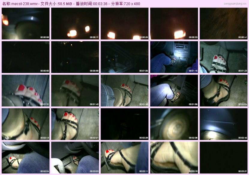 mecst-238